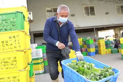 搶收搶種、調配蔬菜!他們正全力保障市場供應