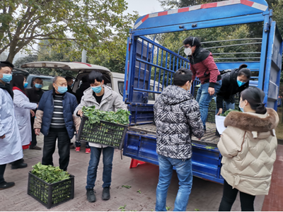 大足6家愛心企業(yè)為抗疫一線送去近3噸蔬果