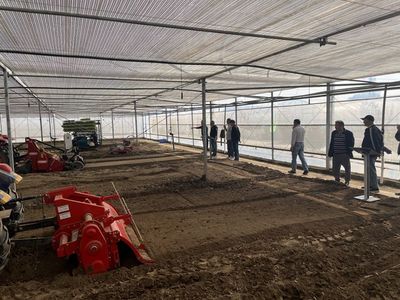 科技賦能菜園，機(jī)械助力豐收——寶山區(qū)蔬菜機(jī)械化生產(chǎn)示范現(xiàn)場會(huì)紀(jì)實(shí)